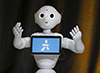 humanoid robot